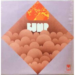 BUMP - Bump LP