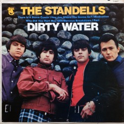 THE STANDELLS - Dirty Water LP