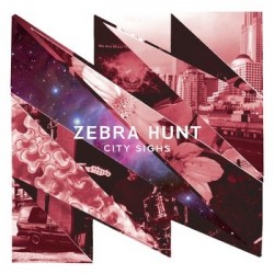 ZEBRA HUNT ‎– City Sighs LP
