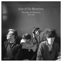 ECHO & THE BUNNYMEN - The...