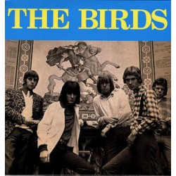 THE BIRDS - The Birds LP