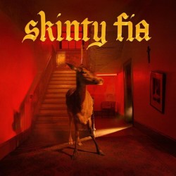 FONTAINES DC - Skinty Fia LP