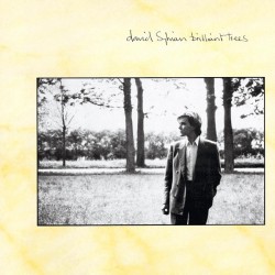 DAVID SYLVIAN - Brilliant Trees LP