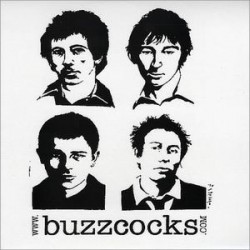 BUZZCOCKS - Secret Publics 'Best In Good Food'  LP