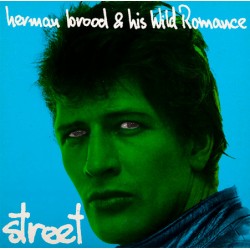 HERMAN BROOD & HIS WILD...