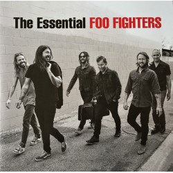 FOO FIGHTERS - The...