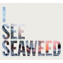  ‎ ‎DRONES - I See Seaweed  LP