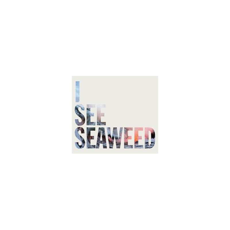  ‎ ‎DRONES - I See Seaweed  LP