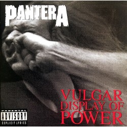 PANTERA - Vulgar Display Of...