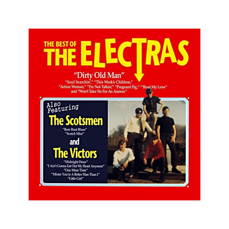 THE ELECTRAS - Best Of LP