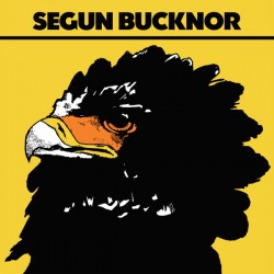 SEGUN BUCKNOR - Segun...