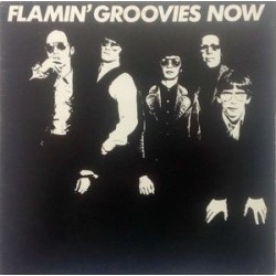 FLAMIN' GROOVIES - Now LP