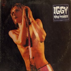 IGGY & THE STOOGES - Raw...