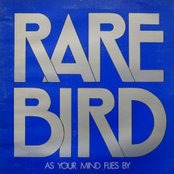 RARE BIRD - As Your Mind...