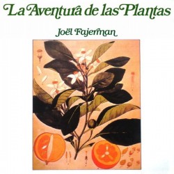 JOËL FAGERMAN - La aventura...