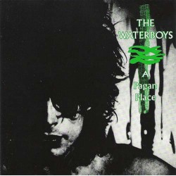 THE WATERBOYS - A Pagan...