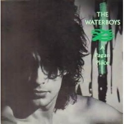 WATERBOYS - A Pagan Place LP