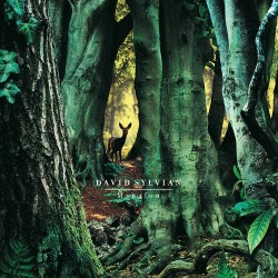 DAVID SYLVIAN - Manafon LP