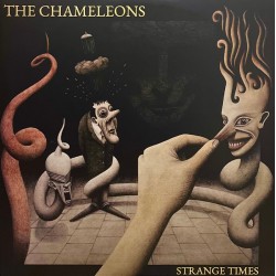 THE CHAMELEONS - Strange...