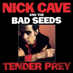 NICK CAVE & THE BAD SEEDS – Tender Prey LP