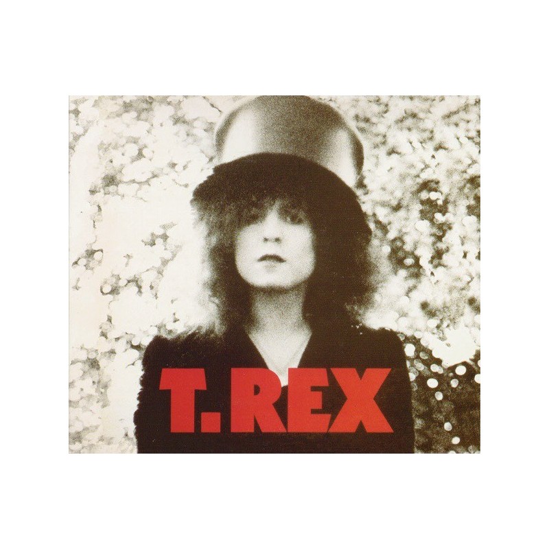 T. REX - The Slider / Rabbit Fighter The Alternate Slider CD