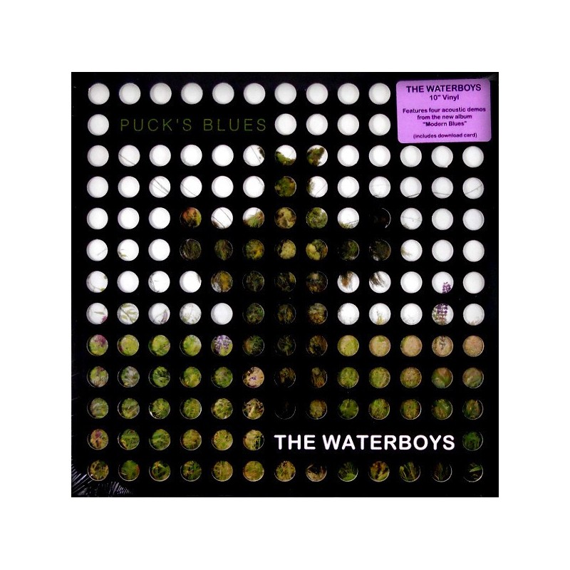 WATERBOYS - Puck's Blues 10" EP