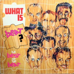 THE BEAT - What Is Beat, The Best Of LP