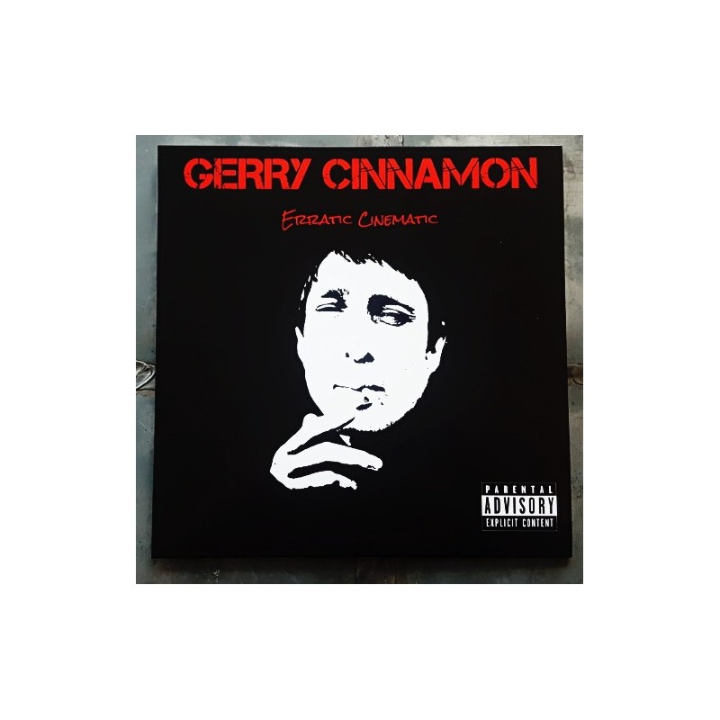 GERRY CINNAMON - Erratic Cinematic CD