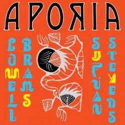 SUFJAN STEVENS & LOWELL BRAMS - AporiaLP