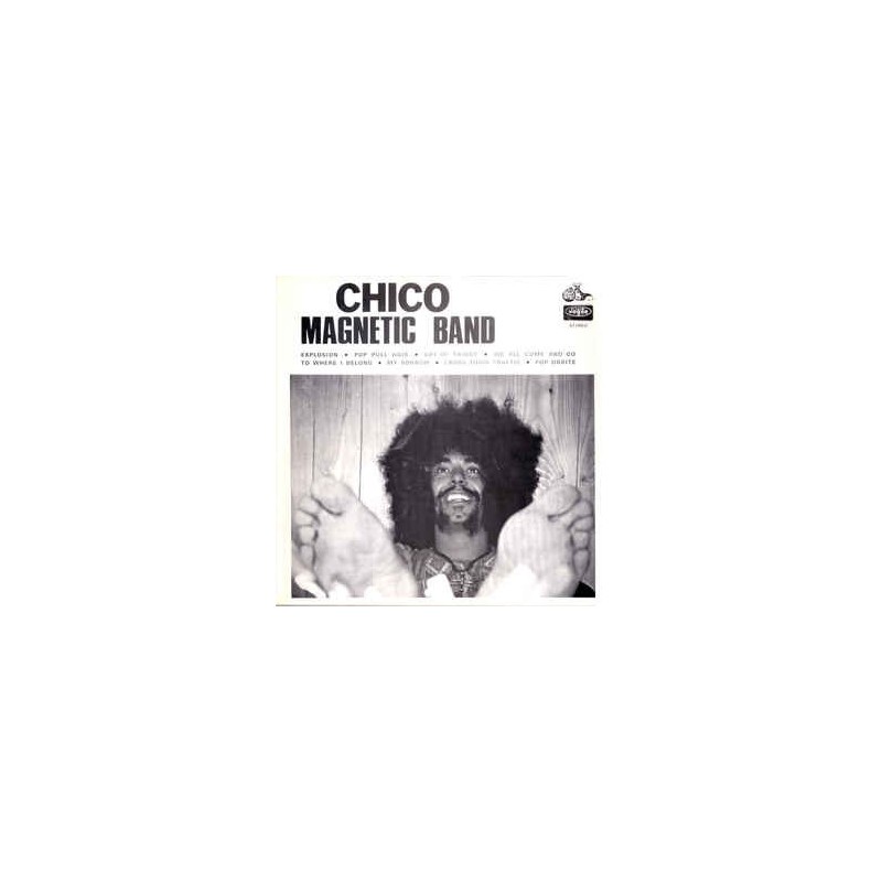 CHICO MAGNETIC BAND - Chico Magnetic Band  LP