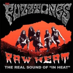 FUZZTONES - Raw Heat LP